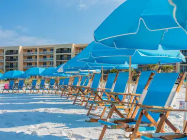 Beach Chairs Beach Chairs