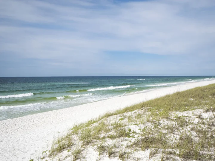  Navarre Beach Florida FL Tourist Souvenir Vacation