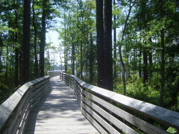Downtown Pensacola Home Rentals | Southern Vacation Rentals Downtown Pensacola Home Rentals | Southern Vacation Rentals