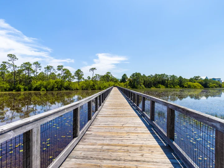 WaterSound Beach Rentals | Southern Vacation Rentals WaterSound Beach Rentals | Southern Vacation Rentals