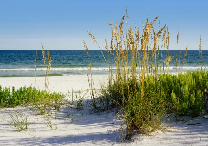 Gulf Breeze Home Rentals | Southern Vacation Rentals Gulf Breeze Home Rentals | Southern Vacation Rentals