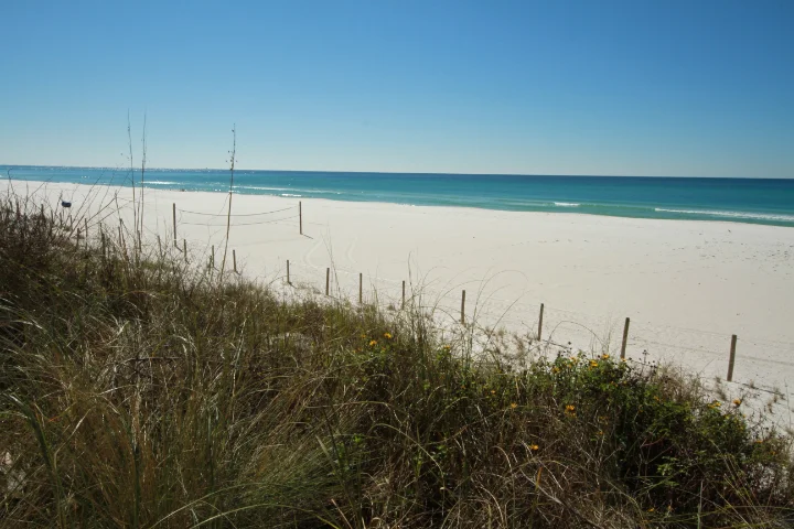 Sterling Reef | Panama City Beach Florida | Southern Vacation Rentals Sterling Reef | Panama City Beach Florida | Southern Vacation Rentals