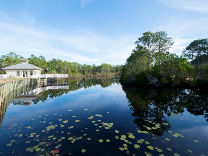 Seagrove Highlands | Seagrove Beach, FL Rentals | Southern Vacation Rentals Seagrove Highlands | Seagrove Beach, FL Rentals | Southern Vacation Rentals