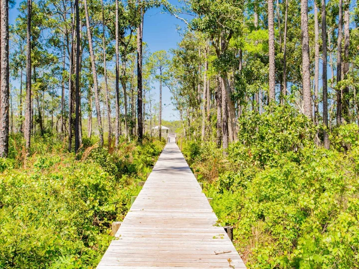 Redfish Harbor at Innerarity Point Homes | Southern Vacation Rentals Redfish Harbor at Innerarity Point Homes | Southern Vacation Rentals
