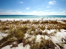 Beach View Beach View