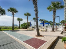 Shuffleboard Court Shuffleboard Court