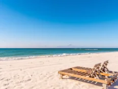 Beach Chairs Beach Chairs