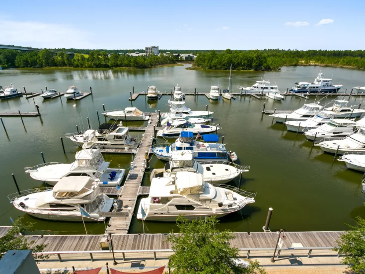 Harbor View Harbor View