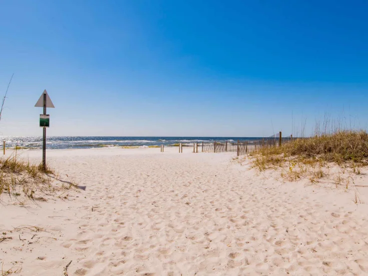 Beach View Beach View