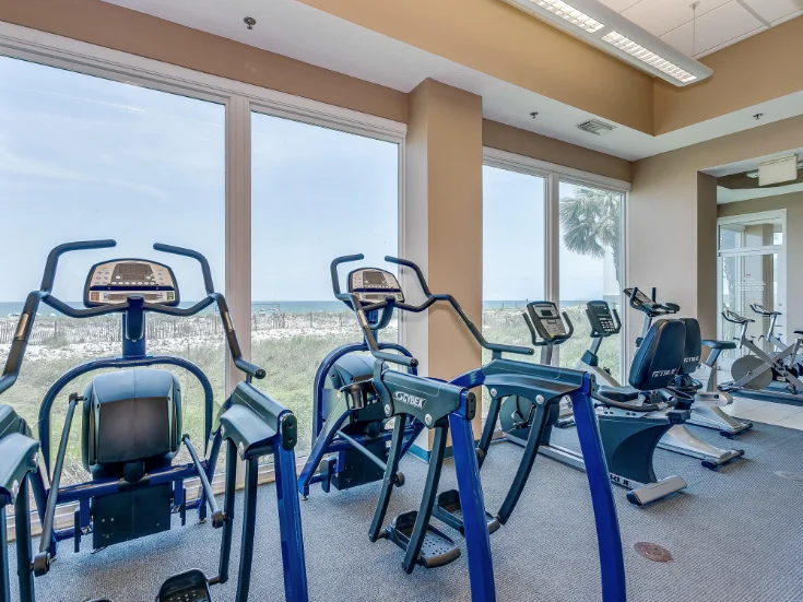 Gym Equipment Gym Equipment