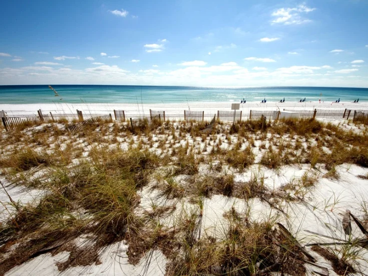 Beach View Beach View