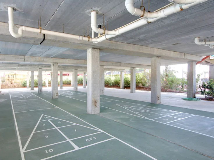 Shuffleboard Shuffleboard