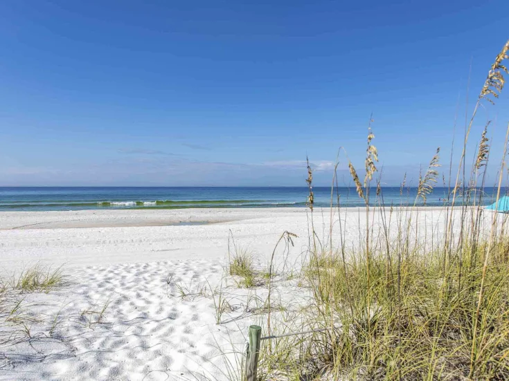 Simply the Best Beach Simply the Best Beach