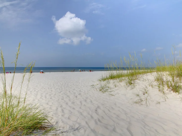 Beach View Beach View