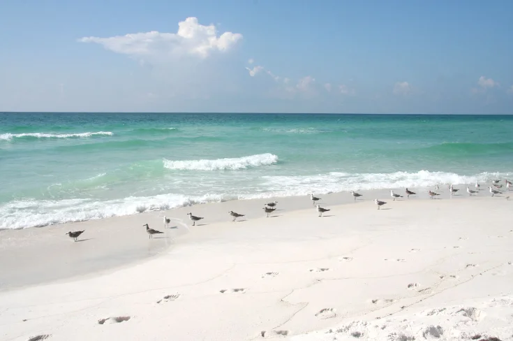Beach Beach