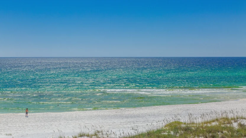 Beach View Beach View