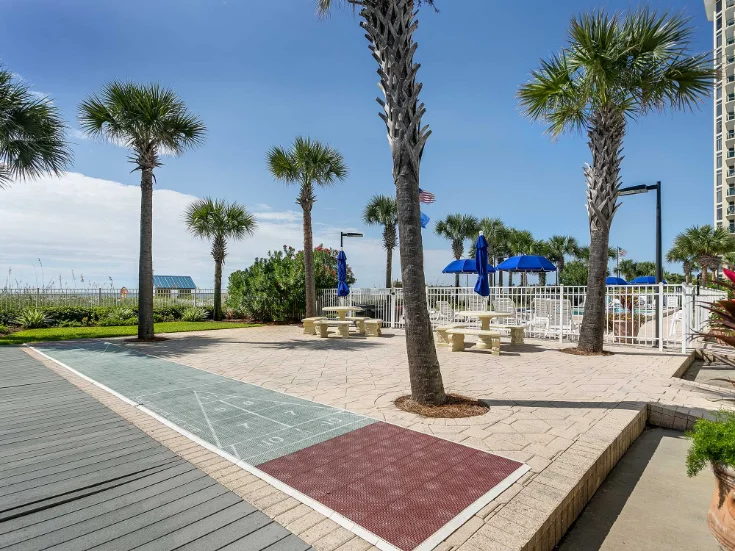 Shuffleboard Court Shuffleboard Court