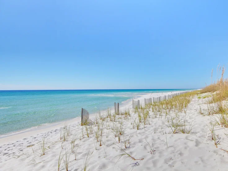 Beach View Beach View